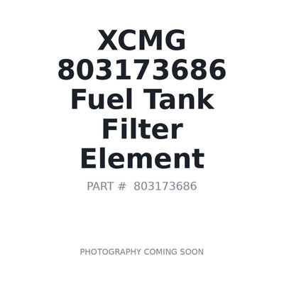 803173686 XCMG Fuel Filter