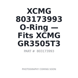 XCMG 803173993 O-rings | Fits XCMG GR3505T3 | Stocked in BC, Ships Canada-Wide