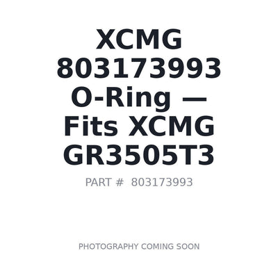 803173993 XCMG O-rings