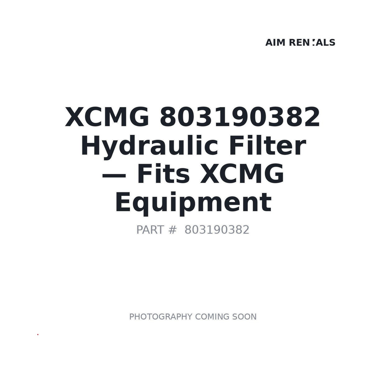 803190382 XCMG Filters