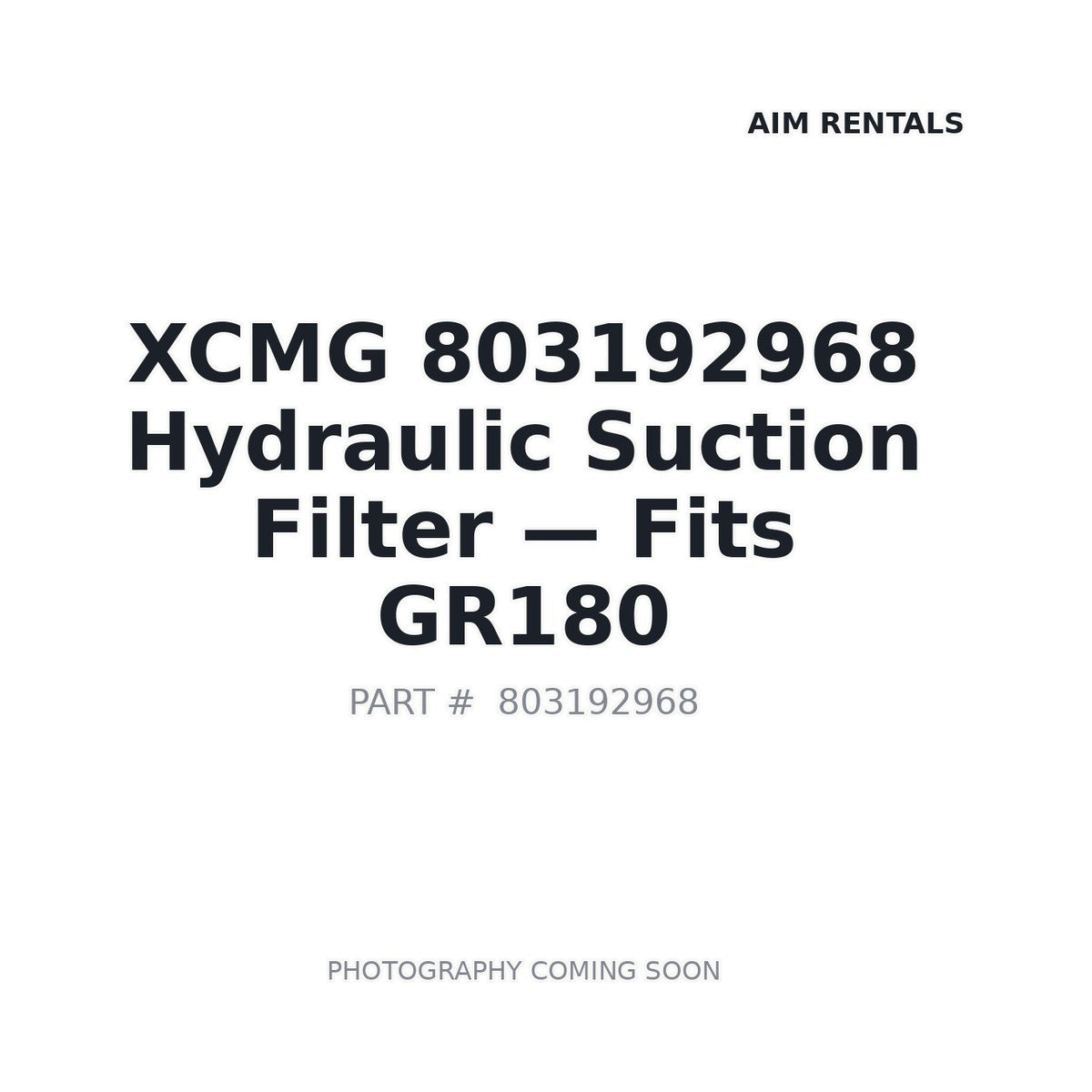 803192968 XCMG Filters