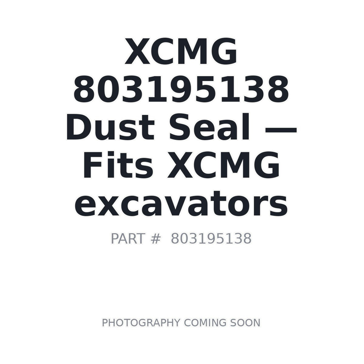 803195138 XCMG Seals