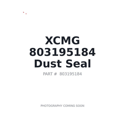 803195184 XCMG O-ring