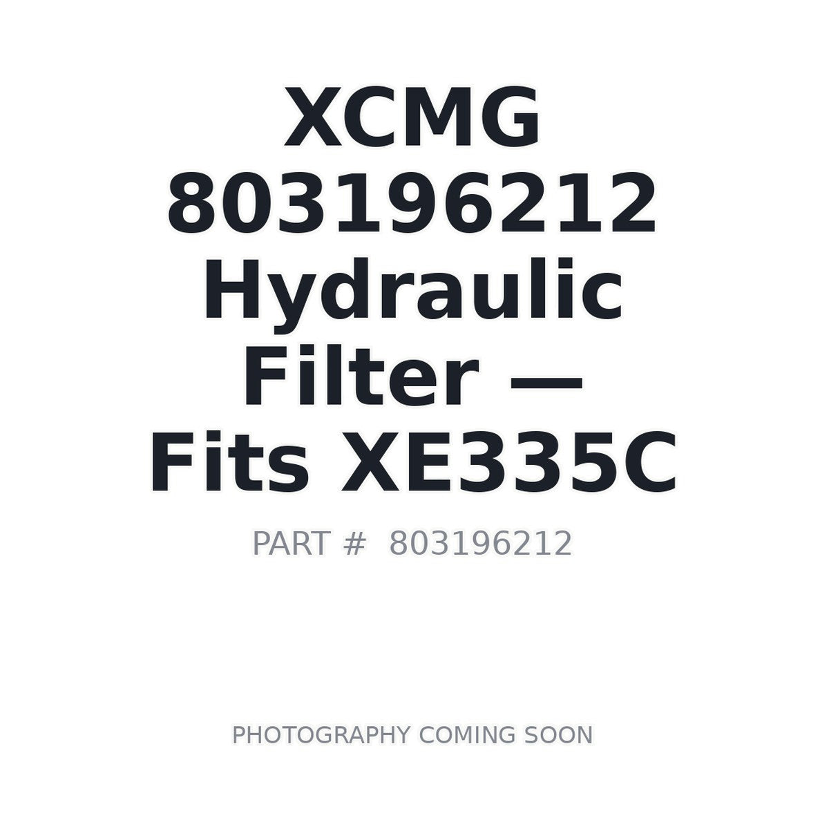 803196212 XCMG Suction Filter
