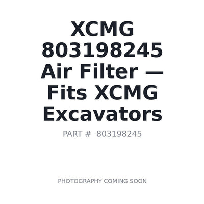803198245 XCMG Filters