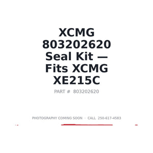 XCMG 803202620 Hydraulic Seals | Fits XCMG XE215C | Stocked in BC, Ships Canada-Wide