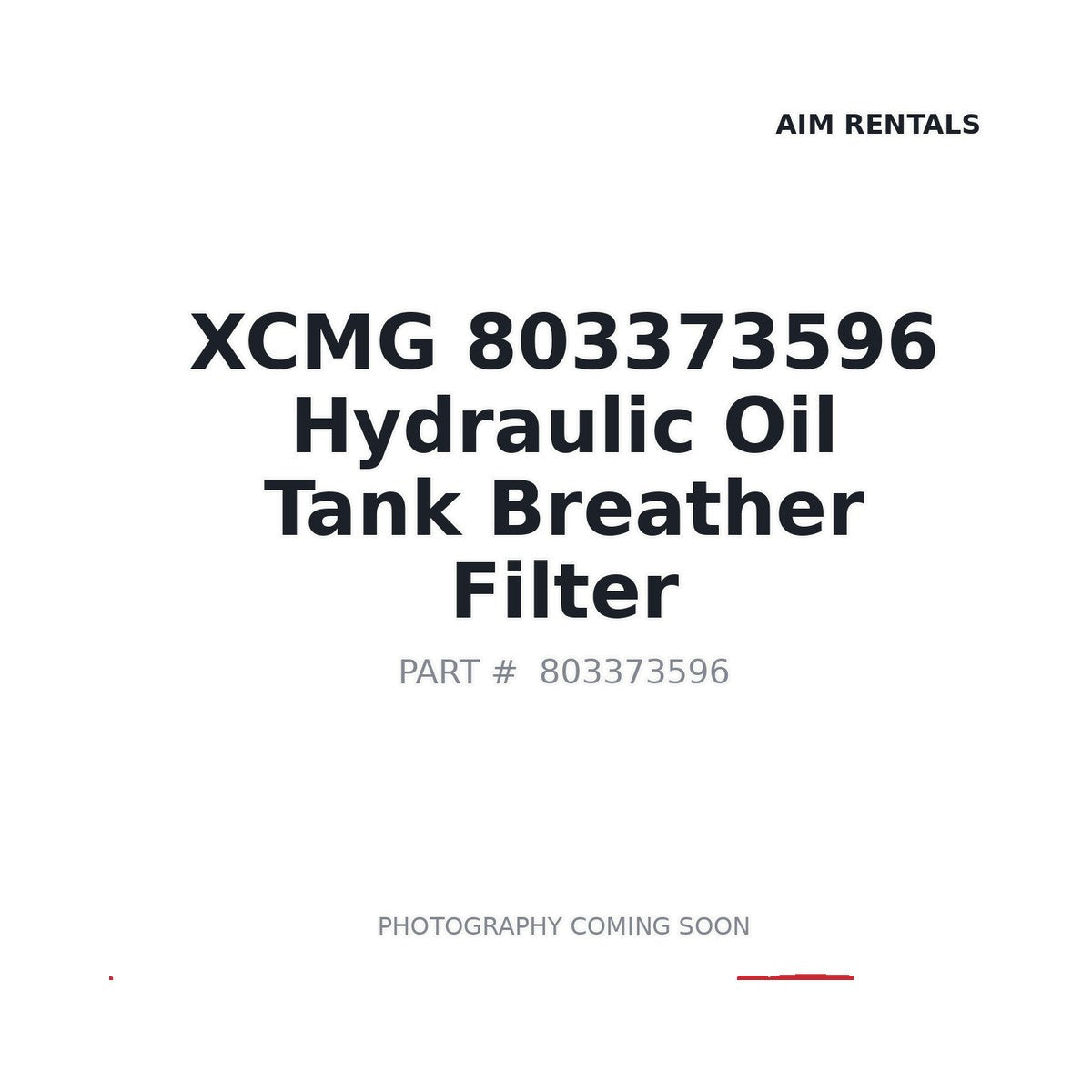 803373596 XCMG Hydraulic Filter