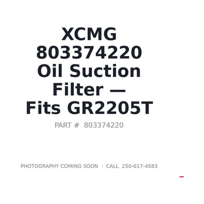 803374220 XCMG Filters