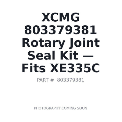803379381 XCMG Hydraulic Seals