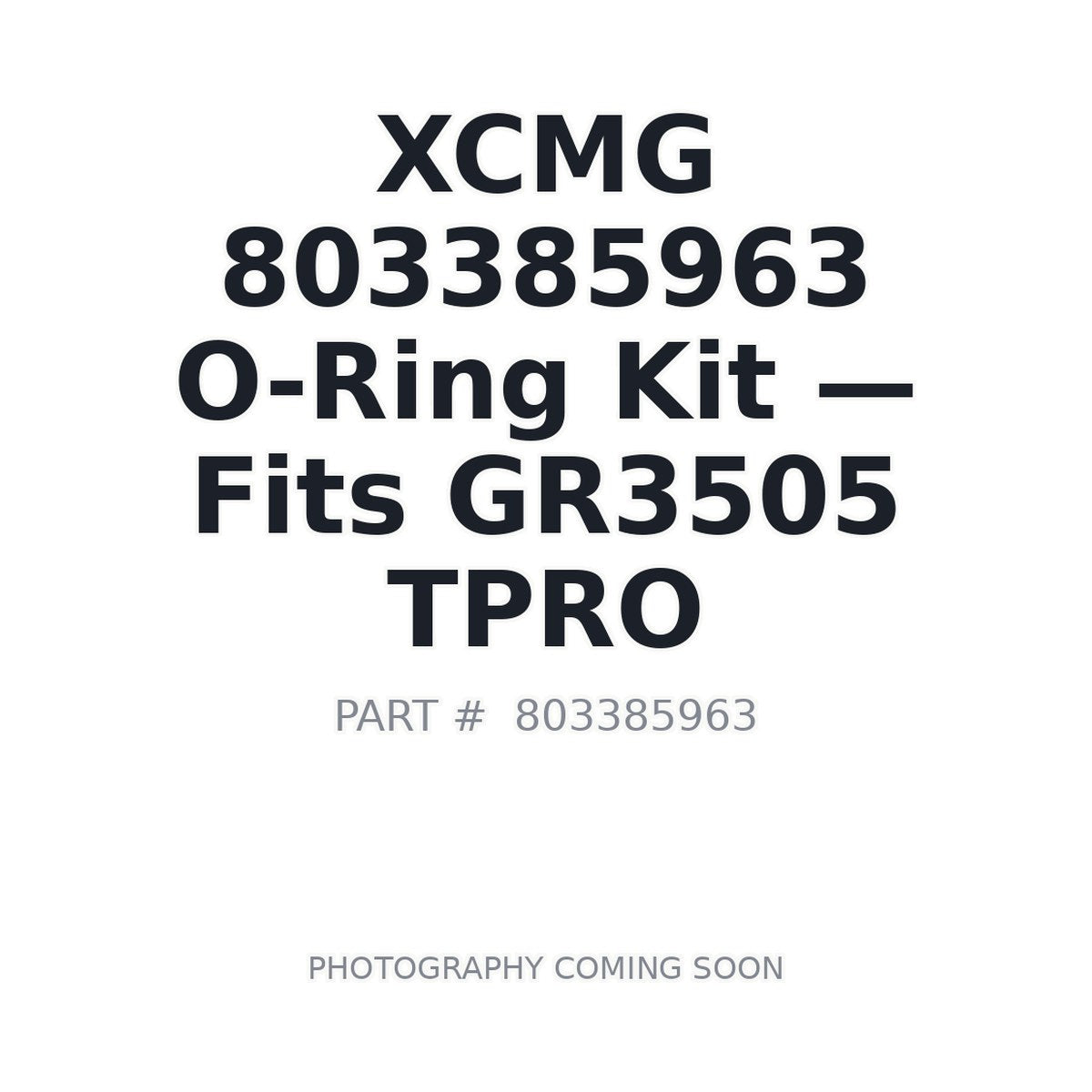 803385963 XCMG Hydraulic Seals