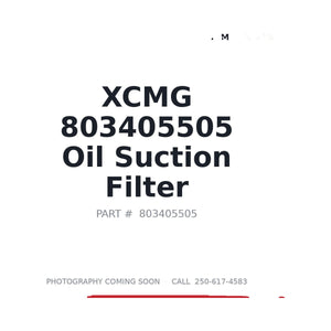XCMG 803405505 Hydraulic Filter | Fits XCMG XE370DK, XCMG XE400D | Stocked in BC, Ships Canada-Wide