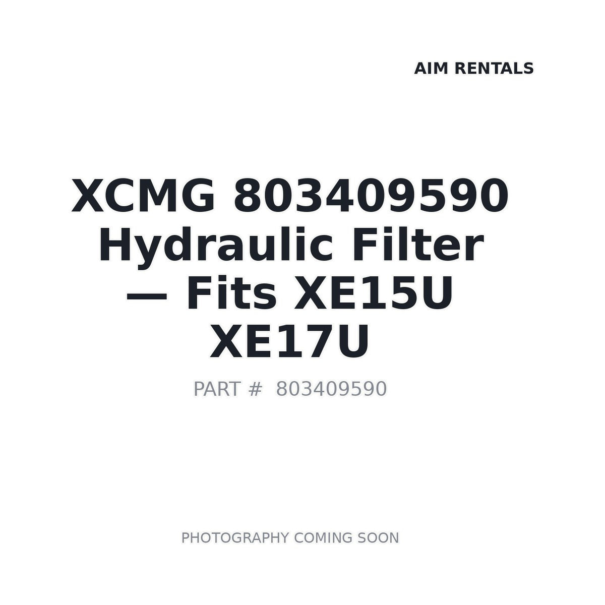 803409590 XCMG Filters