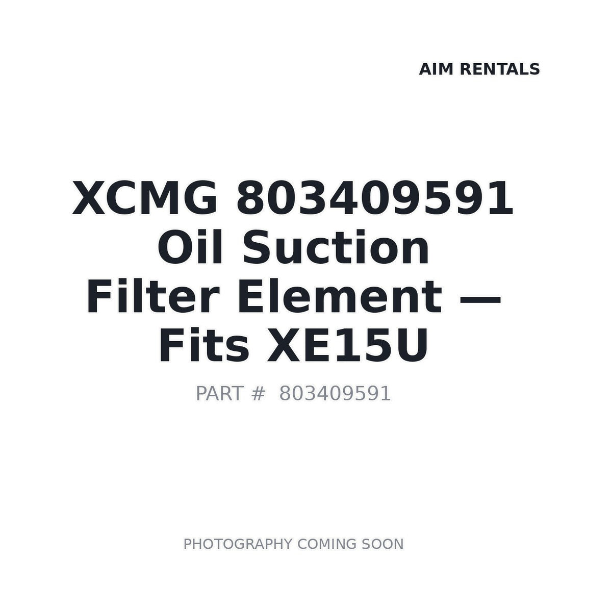 803409591 XCMG Filters