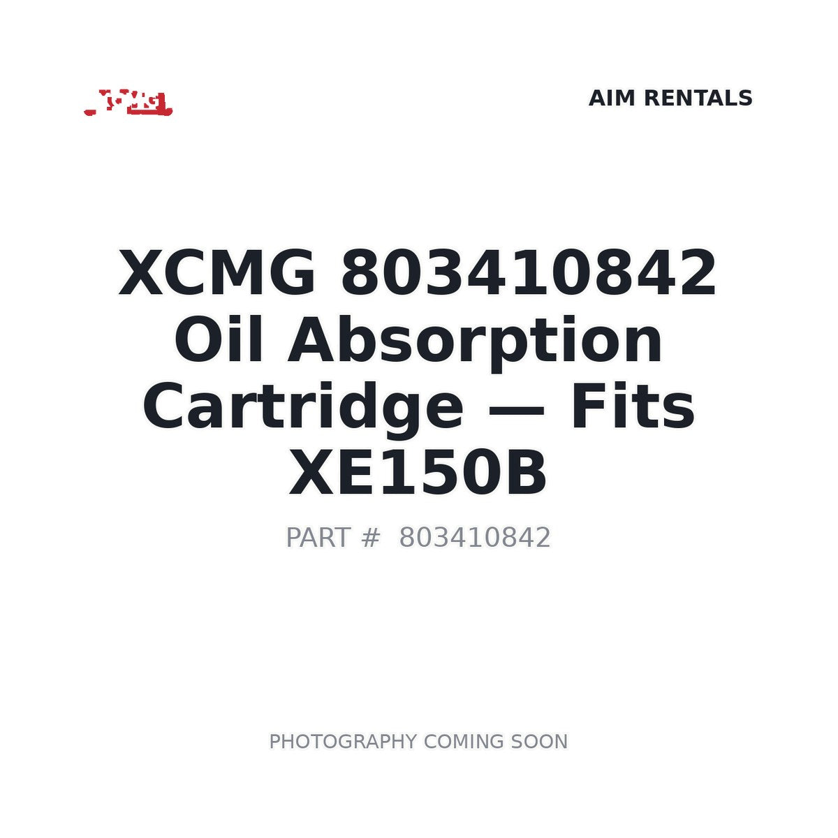 803410842 XCMG Filters
