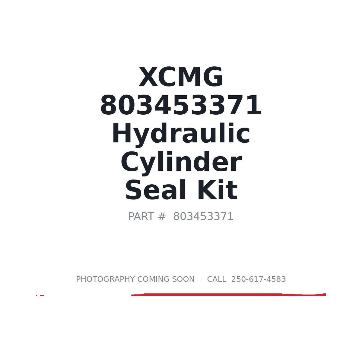 803453371 XCMG Seal Kit