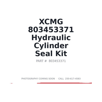 803453371 XCMG Seal Kit