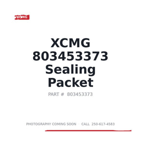 XCMG 803453373 Seal Kit | Stocked in BC, Ships Canada-Wide