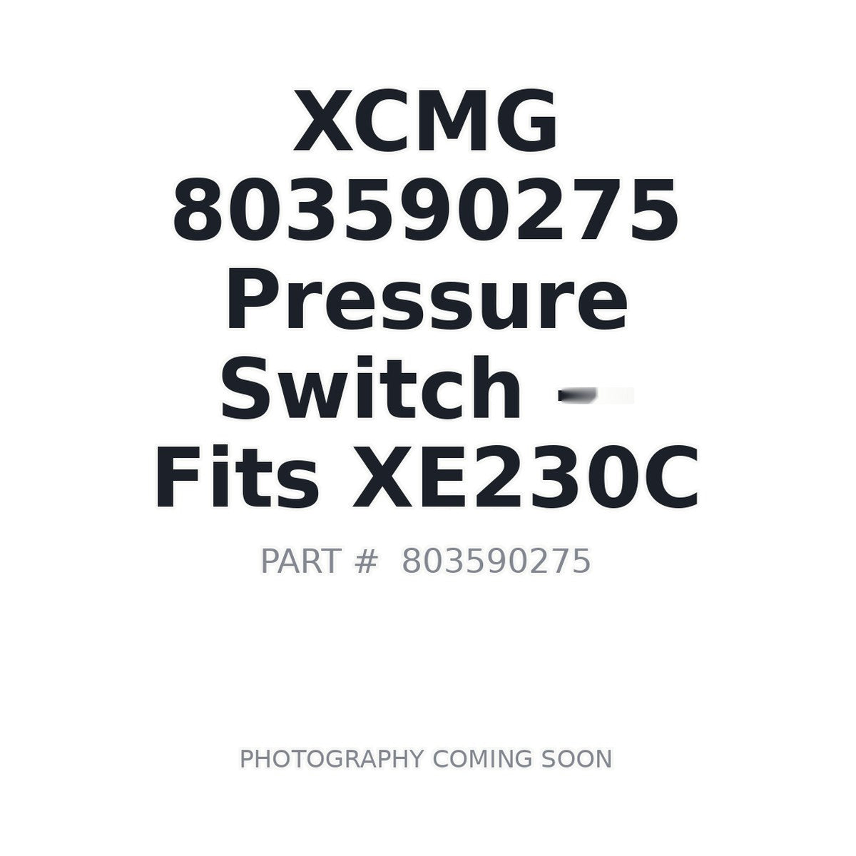 803590275 XCMG Pressure Switches