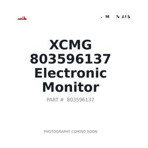 XCMG 803596137 Monitor | Stocked in BC, Ships Canada-Wide