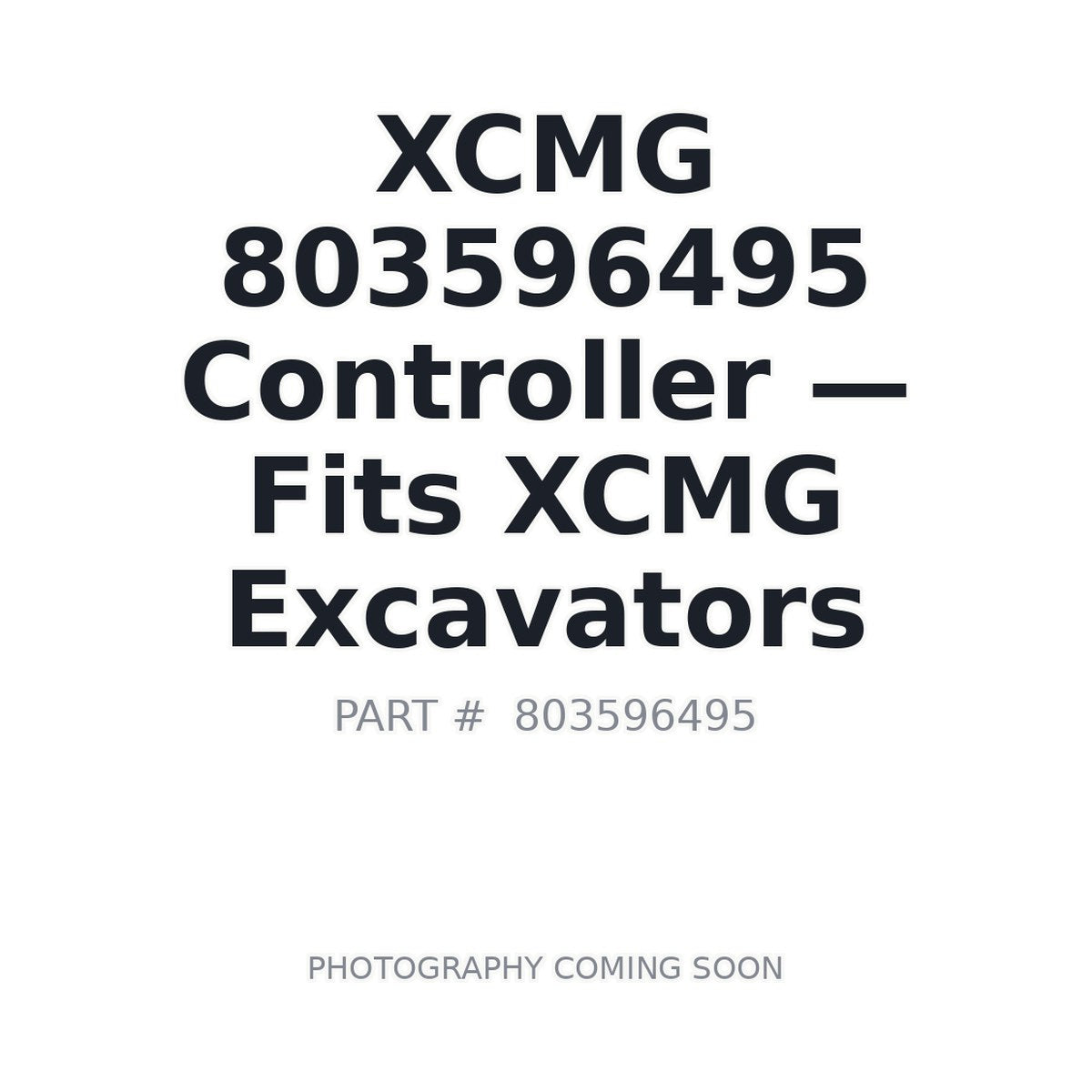 803596495 XCMG Controllers