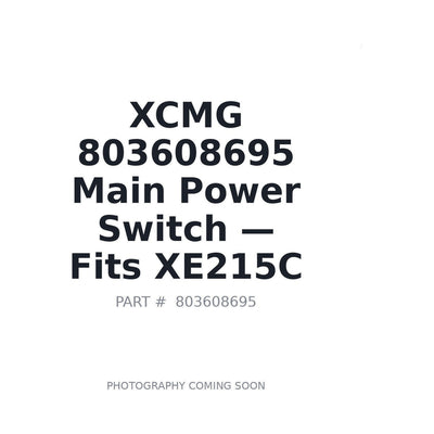 803608695 XCMG Electrical Switches