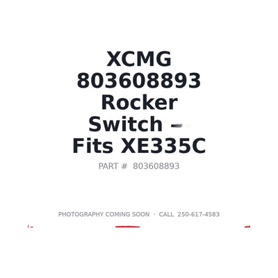 803608893 XCMG Electrical Switches