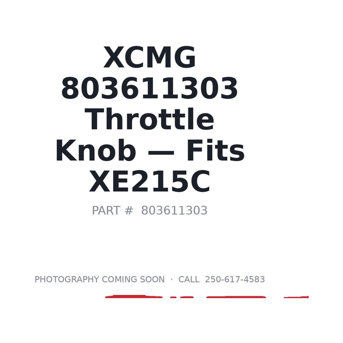 803611303 XCMG Electrical Controls