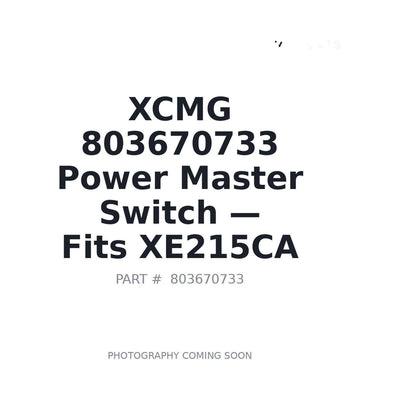803670733 XCMG Electrical Switches