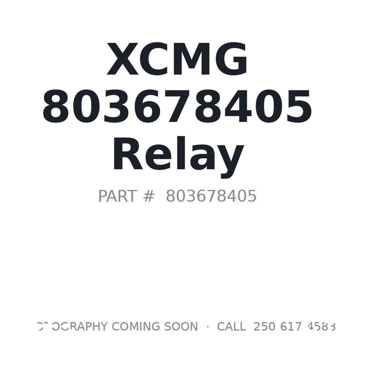 803678405 XCMG Relay