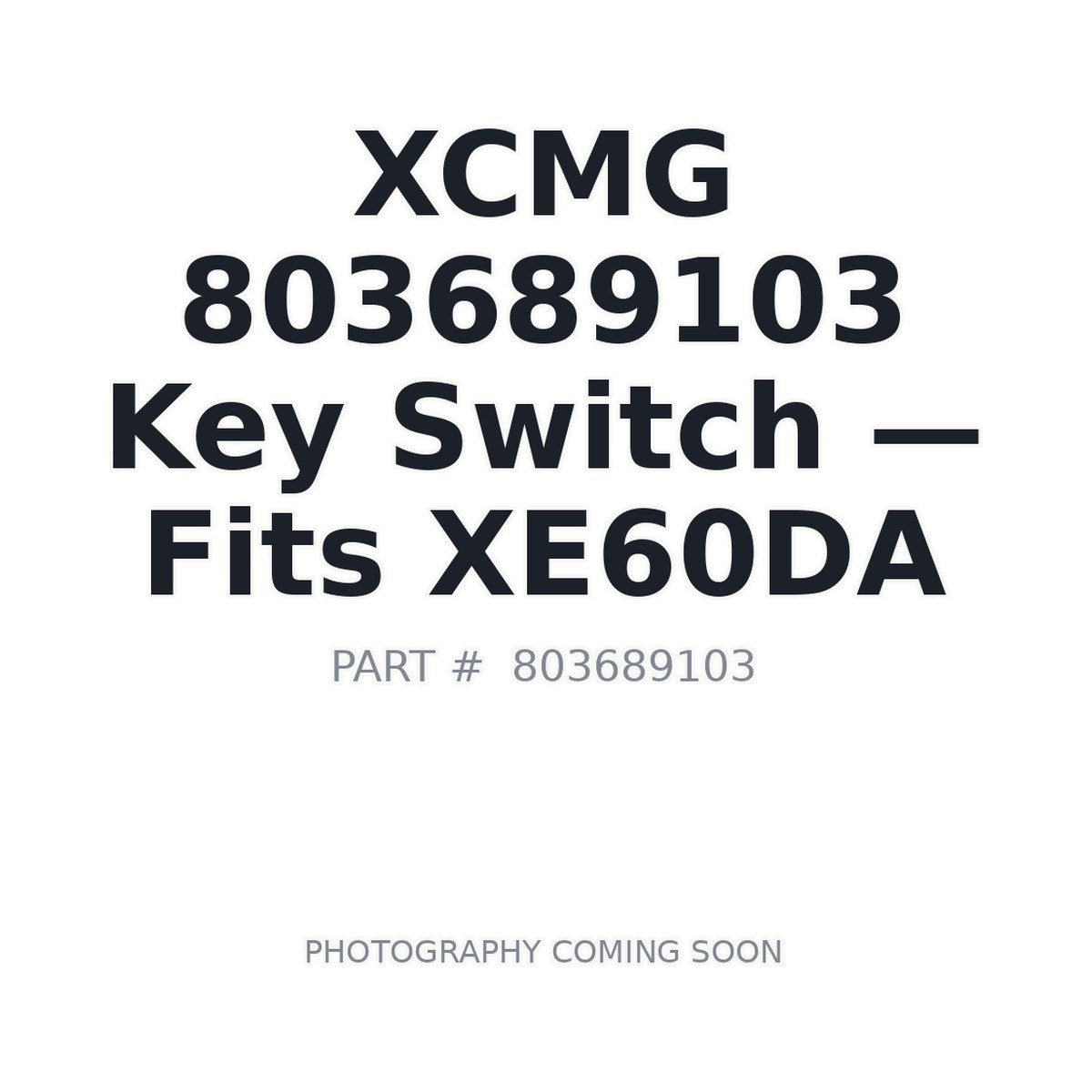 803689103 XCMG Ignition Switches