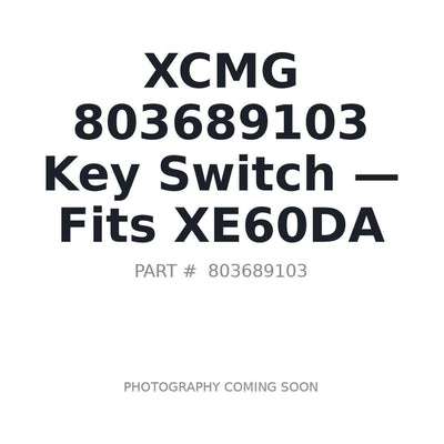 803689103 XCMG Ignition Switches