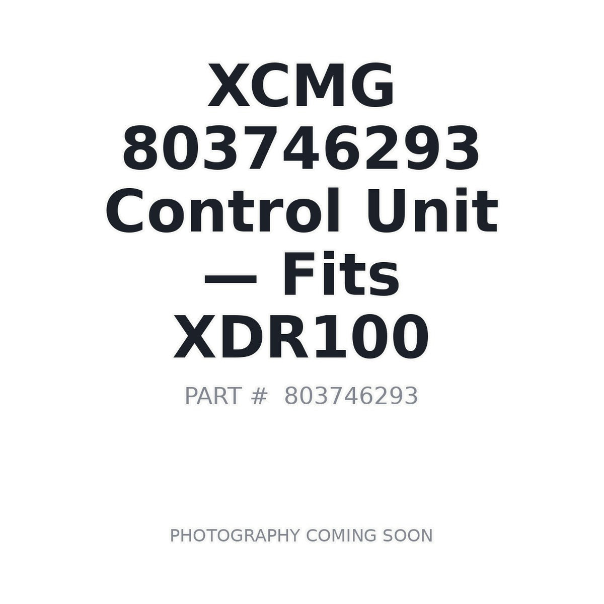 803746293 XCMG Electrical Control Units