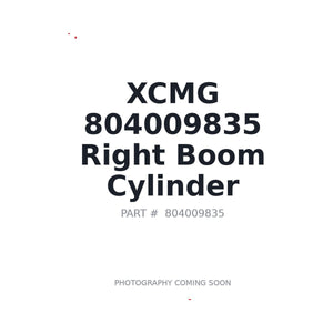 XCMG 804009835 Cylinder | Stocked in BC, Ships Canada-Wide