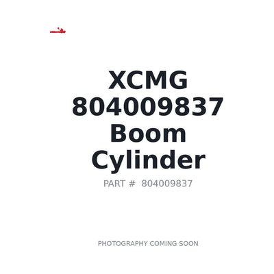 804009837 XCMG Boom Cylinder