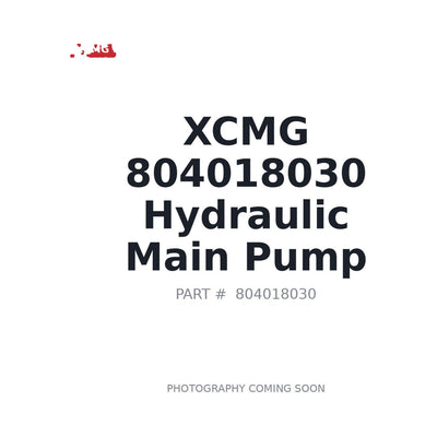 804018030 XCMG Pump