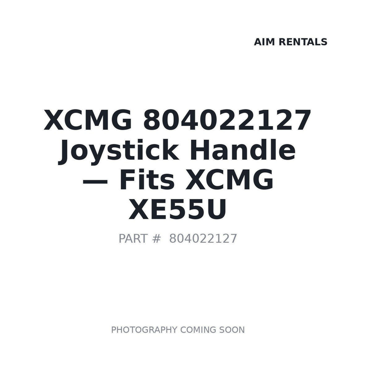 804022127 XCMG Operator Controls