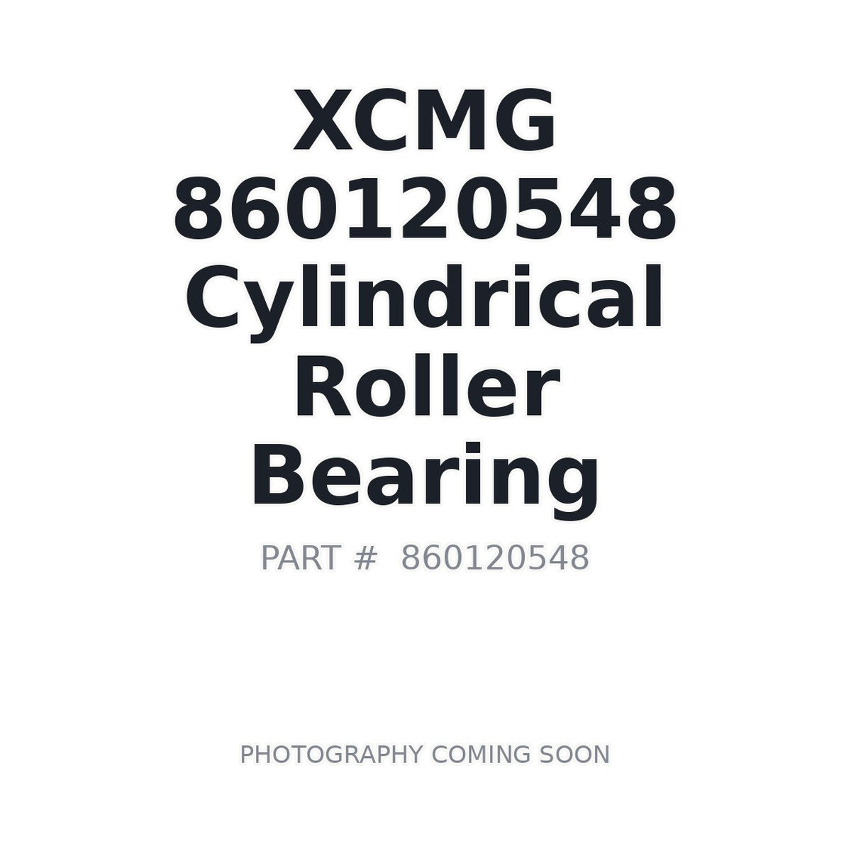 860120548 XCMG Bearing