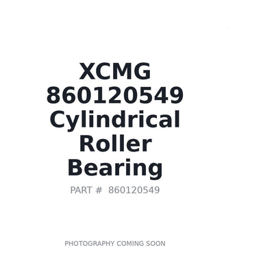 860120549 XCMG Bearing