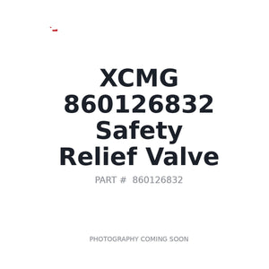 XCMG 860126832 Relief Valve | Stocked in BC, Ships Canada-Wide