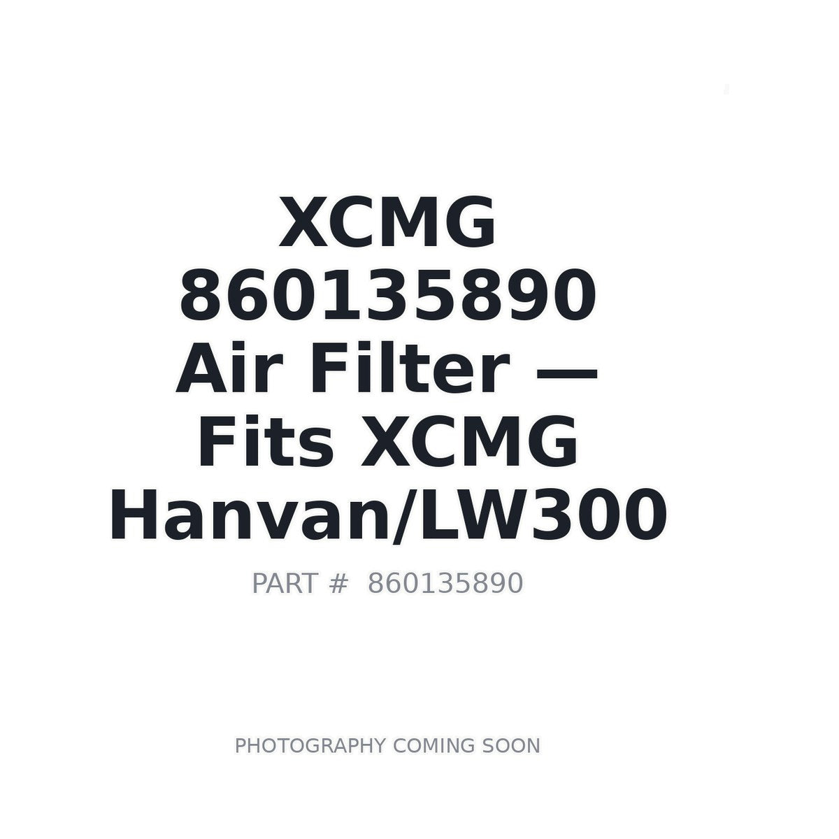 860135890 XCMG Filters