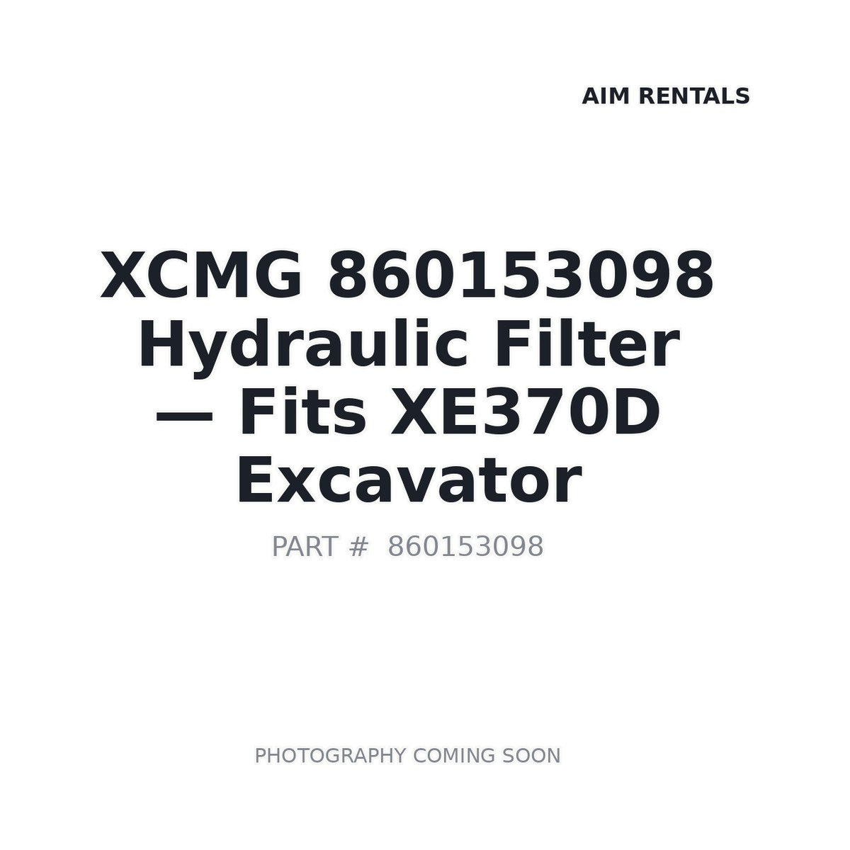 860153098 XCMG Filters