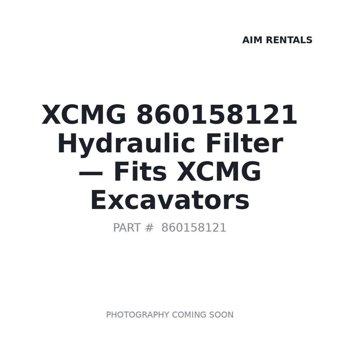 860158121 XCMG Filters