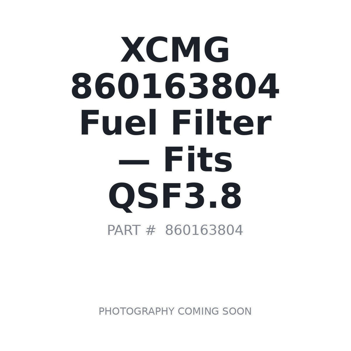 860163804 XCMG Filters