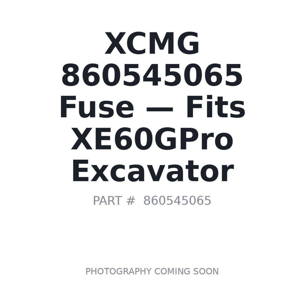 860545065 XCMG Fuses