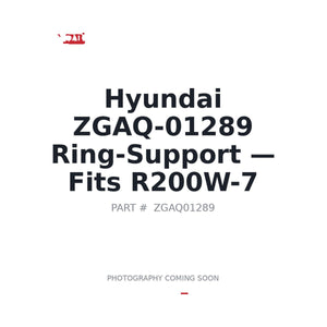 Hyundai ZGAQ-01289 Axle Components . Fits R200W-7 | Fits Hyundai R200W-7 | Stocked in BC, Ships Canada-Wide