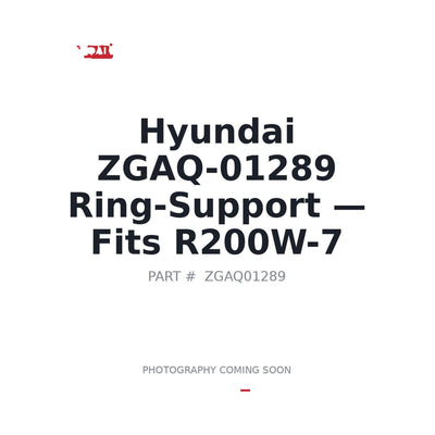 ZGAQ-01289 Hyundai Axle Components . Fits R200W-7